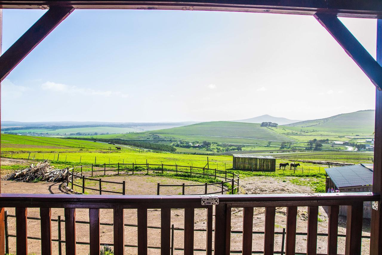 Вилла Anna Beulah Farm Дурбанвиль Экстерьер фото