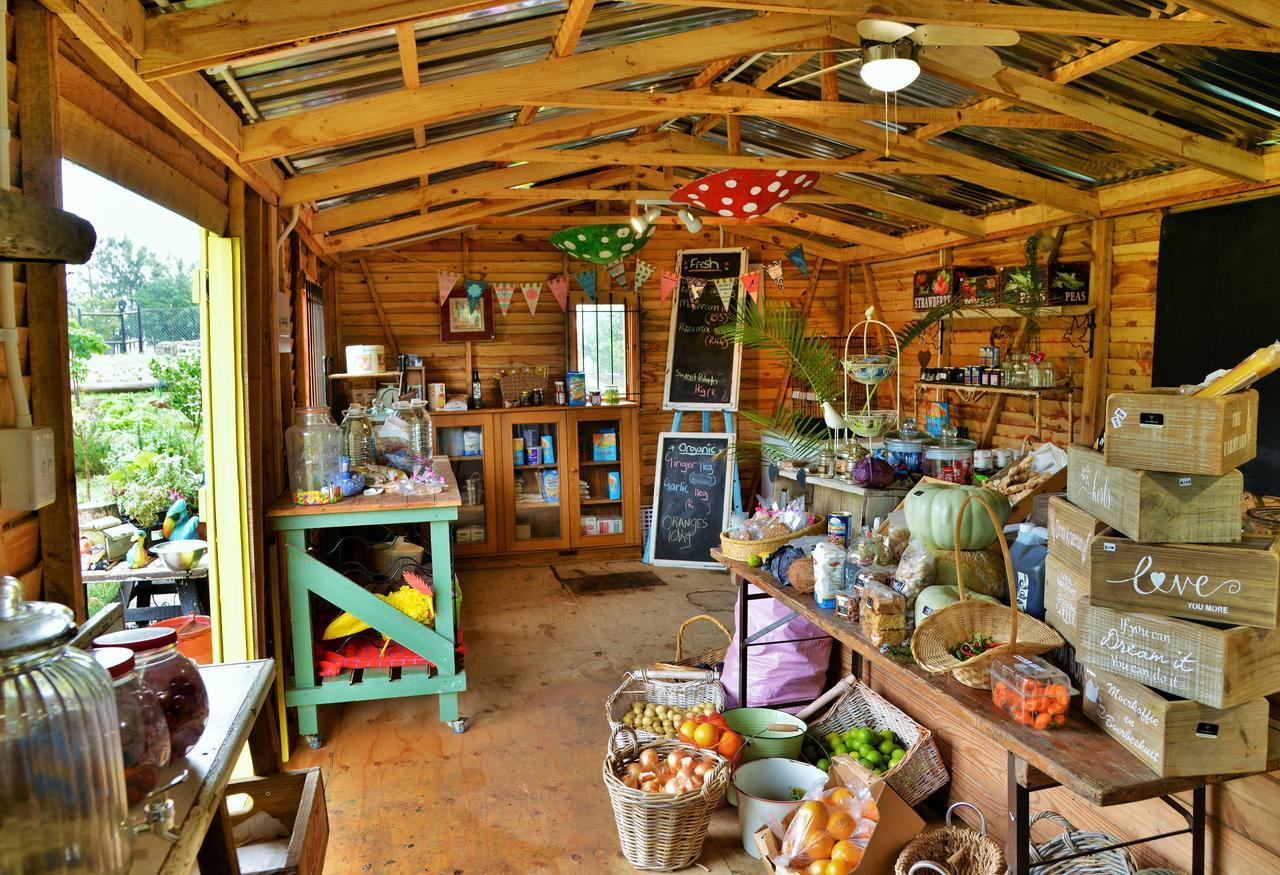 Вилла Anna Beulah Farm Дурбанвиль Экстерьер фото