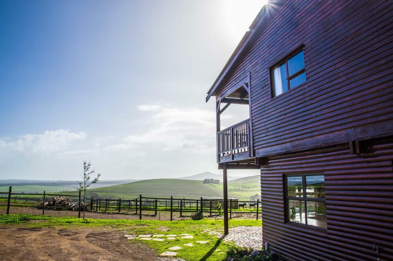 Вилла Anna Beulah Farm Дурбанвиль Экстерьер фото